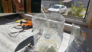 Ловушка для мух, РАБОТАЕТ!!!