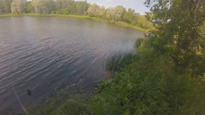 рыбалка Петергоф английский пруд