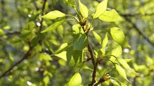 "МЕСТО ВСТРЕЧИ"... (Фото Галины Кан (Томск), музыка - "Zeus Faber")