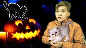 ХЭЛЛОУИН!  МИСТИЧЕСКОЕ Рождение КОТЯТ в НОЧЬ ХЭЛЛОУИНА!!!