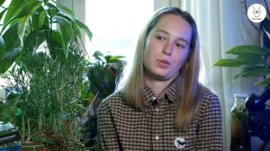 Аннамские, новогвинейские и краснокрылые палочники. Уход, кормление особенности содержания.