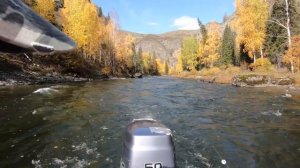 Горная рыбалка в Восточно-Казахстанской области/Ловим ускуча и жарим хариуса/Готовим плов на костре