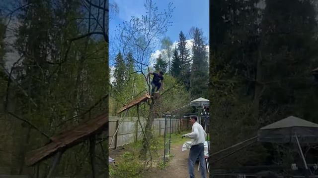 Пилим дерево бензопилой на даче