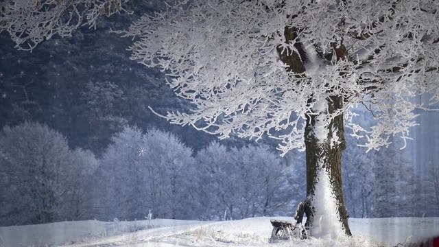 1 Hour of Relaxing Winter Scenes and Lofi Holiday Music for anyone who might be missing snow смотреть онлайн