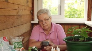 Голова садовая - Триходермин в садоводстве