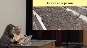 Садовые работы весной и летом