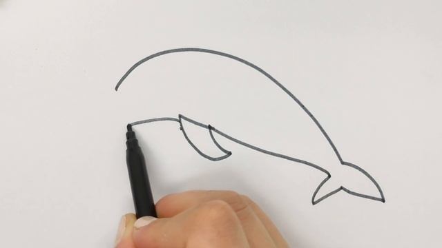 How to Draw a Shark for Kids | Как нарисовать акулу | Sharkni qanday chizish mumkin смотреть онлайн
