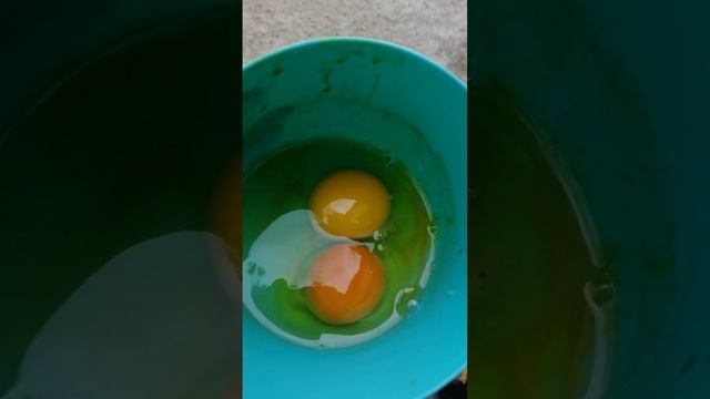 курочки яички снесли #домашние_яйца#домашние_куры#яйценоскость#моя_дача#