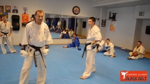 Обучающие видеоуроки по КУДО. Работа на лапах. Руки + Ноги. #5