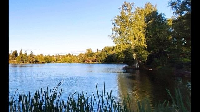 И Никитин  Утро #стихиожизни #поэты19века