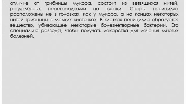 Плесневые грибы и дрожжи. Биология 5 класс. смотреть онлайн