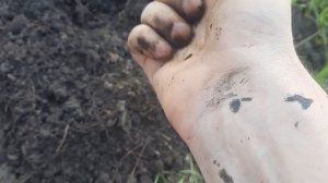 Чернозем с Красноярского района Самарской области. Рудадар