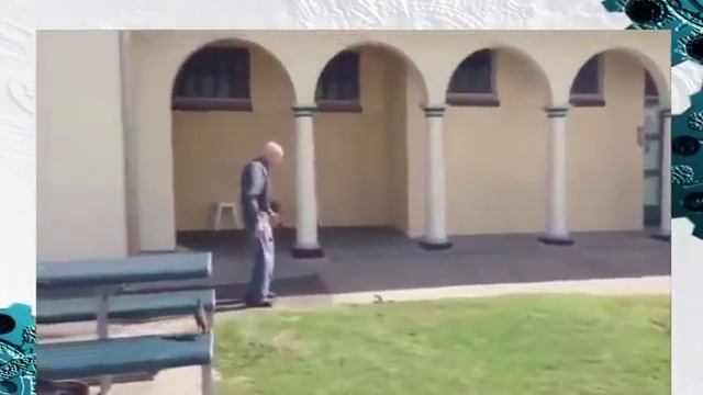 Прикол старик отпинал змею смотреть онлайн