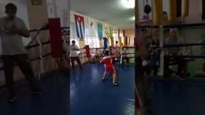 Бой младших классов бокса Адыгеи