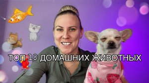 ТОП 10 ДОМАШНИХ ЖИВОТНЫХ