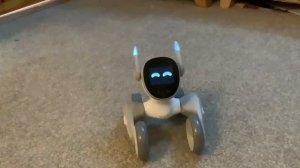 KEYi Technology Your Loona Petbot New Robotic Pet: New Update! Programming & More!