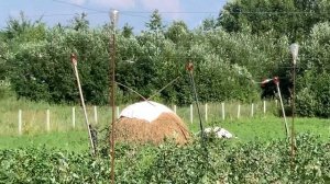 Чем я отпугиваю скворцов/шпаков . 4 июля 2022 г.