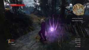 HOW DOES THE MAXIMUM POWER LOOK: YRDEN, QUEN, IGNI, AKSJI, AARD, IN WITCHER 3