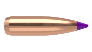 Пуля Nosler Ballistic Tip Varmint 6 mm/243, 80 gr/5,2грамм BC-0,329