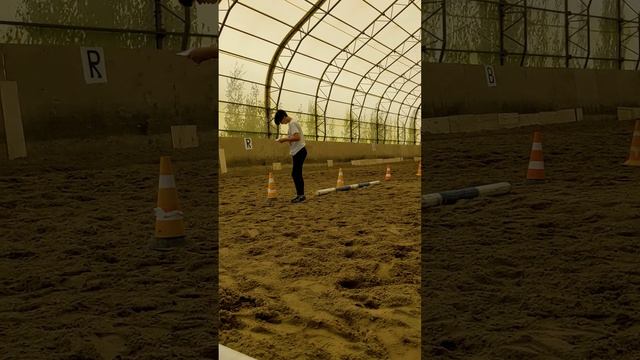 Хоббихорсинг. Быстро учим схему езды