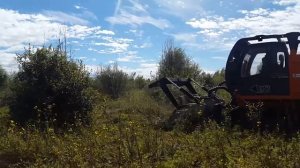 Специализированная машина для расчистки просек М300