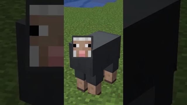 ? Что будет, если подстричь овцу jeb_ В МАЙНКРАФТЕ? смотреть онлайн