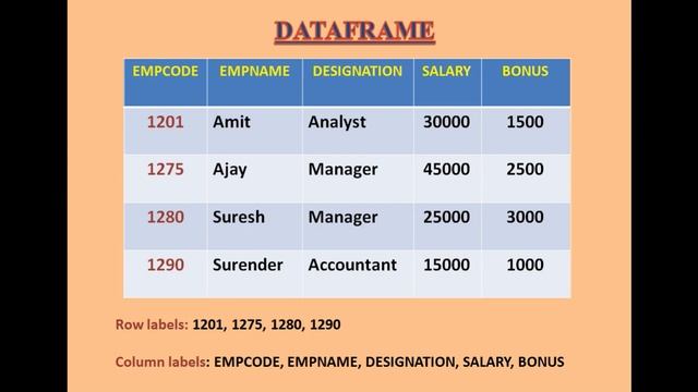 DataFrame in Python Pandas || XII || INFORMATICS PRACTICES || CBSE смотреть онлайн