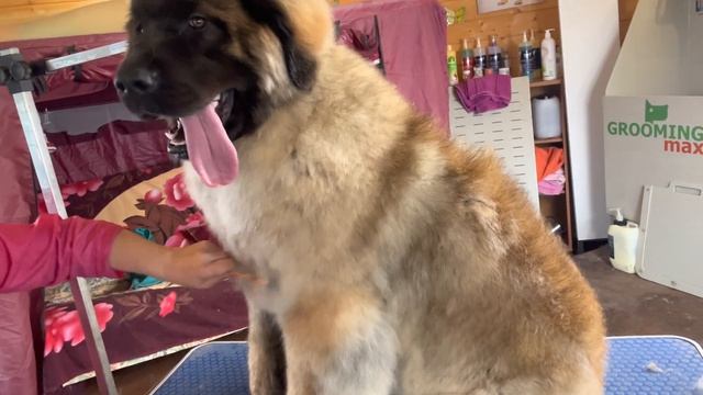 6 апреля 2023 г. смотреть онлайн