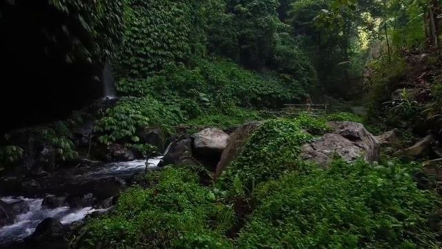 BALI SUMMER MIX 2022 🍓 Best Of Tropical Deep House Music Chill Out Mix 2022 🍓 Chillout Lounge