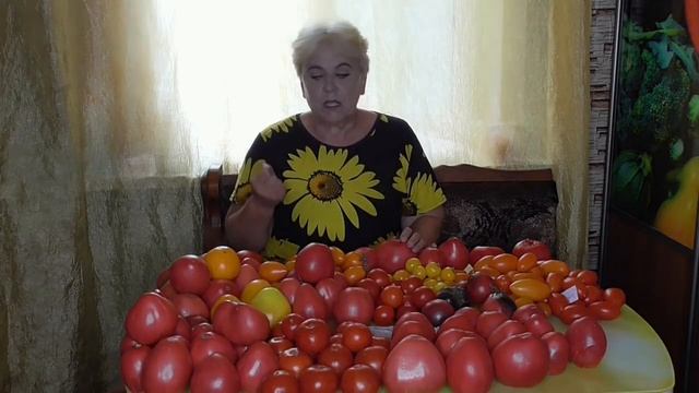 Какие томаты я уже высадила в теплицу? Самые выносливые! Ольга Чернова.