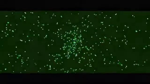 Интро без текста intro no text #3
