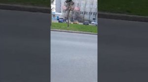 почему кипит газель?