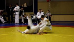 Кобудо Тайхо-дзюцу рукопашный бой