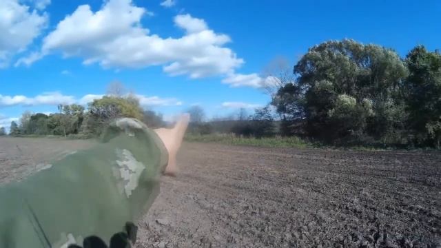 Выпуск 54. Осенний коп по любимым местам. смотреть онлайн