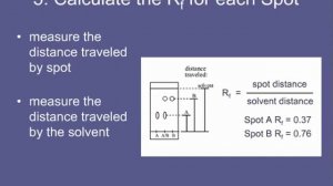 9. 5) Calculate the Rf for each Spot