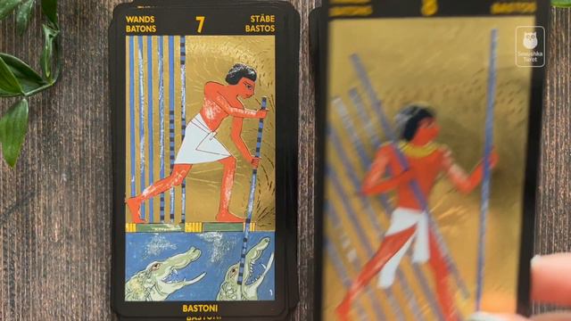 Таро Нефертари — обзор за 5 минут / Nefertari Tarot Flip Through