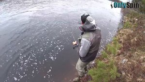 Ловля семги на воблеры  Кольский 2017  Часть 2 #OnlySpin