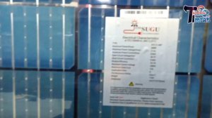 Solar Panel Latest Price 2023 || longi,jinko,ja,astroenergy,ziewnic,inverex,canadian,solarmax