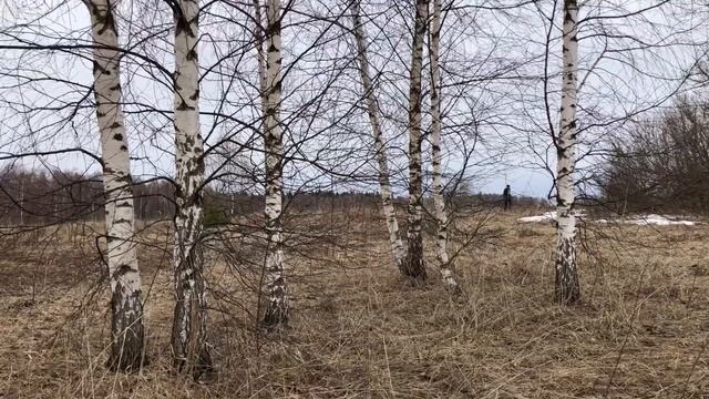 КОП МОНЕТ НА БАРСКОЙ УСАДЬБЕ ☾☼ Нашли царские монеты малых тиражей