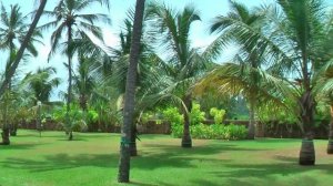 Club Hotel Dolphin Waikkal Sri Lanka