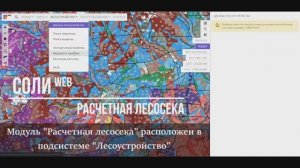 Исчисление расчетных лесосек по сплошным и выборочным рубкам в СОЛИweb