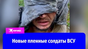 В Курской области взяли в плен солдат ВСУ