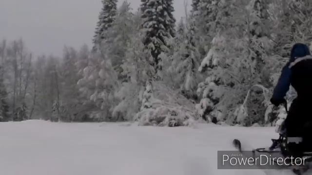 Irbis Dingo T150 Finland смотреть онлайн