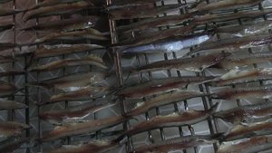 Заготовки мелочи на каждый день | Вяленое филе хамсы в оливковом ароматном масле