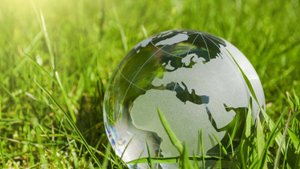 Экология сообществ (часть 2)