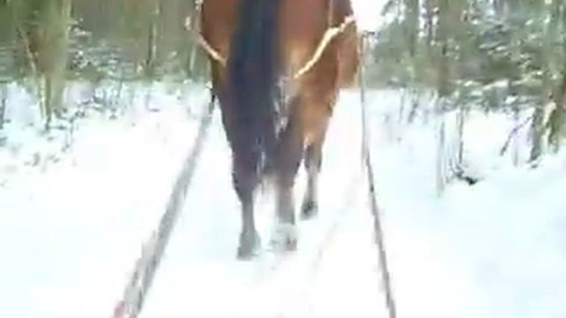 Едем за оглоблями смотреть онлайн