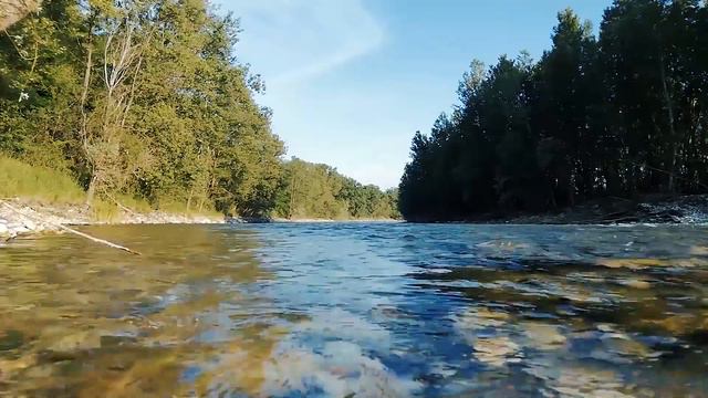 Вы сможете застрелить его только вместе со мной, кричал мальчик закрывая волчонка своим телом смотреть онлайн