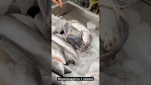 Морепродукты с океана Бангладеш ?? #bangladesh #дакка #поехавшие #путешествия #гринсити #аэс