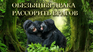 ОБЕЗЬЯНЬЯ ДРАКА... РАССОРИТЬ ВРАГОВ... ОЧЕНЬ СИЛЬНО... ДЛЯ ВСЕХ...