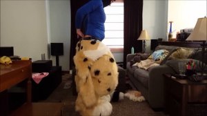 Fauna Fursuit Suit Up!